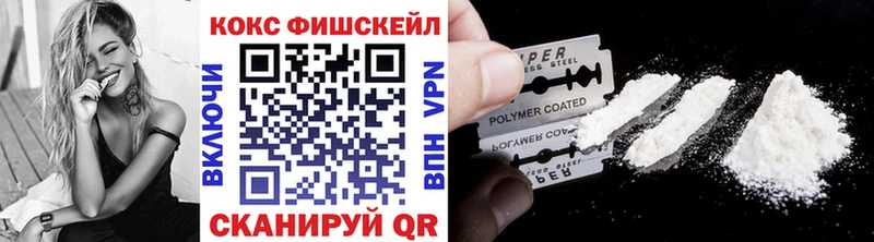 Cocaine Fish Scale  как найти наркотики  Задонск 