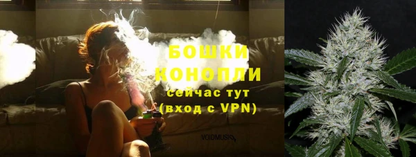 метадон Вяземский