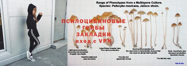 метадон Вяземский
