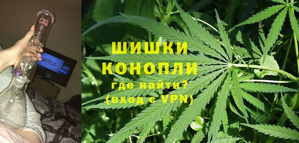 метадон Вяземский
