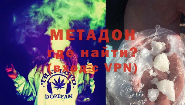 ПСИЛОЦИБИНОВЫЕ ГРИБЫ Вязники