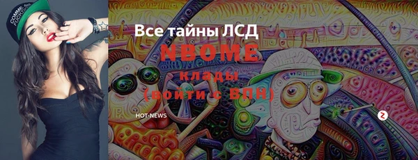ПСИЛОЦИБИНОВЫЕ ГРИБЫ Вязники