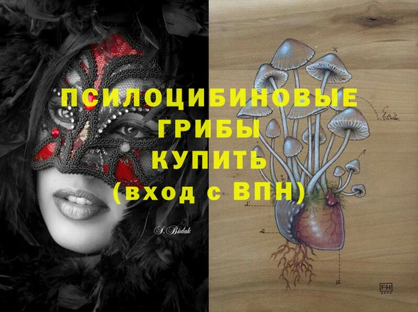 МДПВ Бронницы