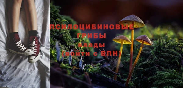 ПСИЛОЦИБИНОВЫЕ ГРИБЫ Вязники