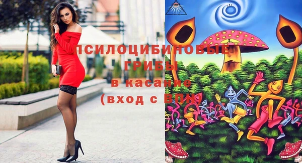 спиды Вязьма