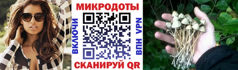 Псилоцибиновые грибы Magic Shrooms  сайты даркнета формула  Задонск  blacksprut ссылки 